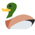 🦆 बत्तख इमोजी अर्थ